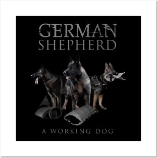 German Shepherd Dog - GSD Posters and Art